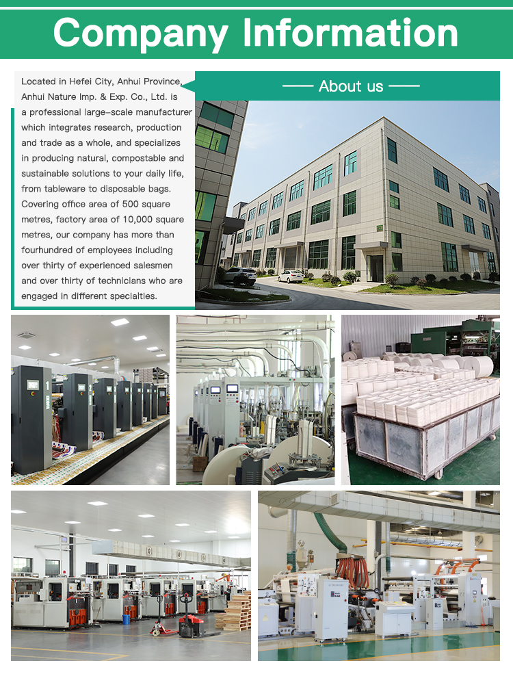 Company Overview 1