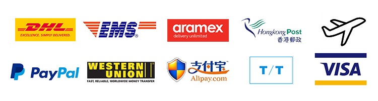 Delivery and Payment Information