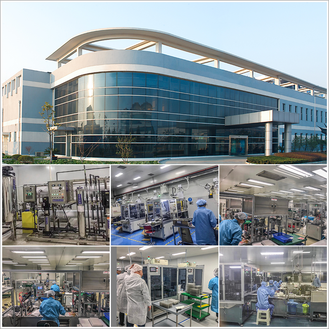 Company Profile and Factory Capability