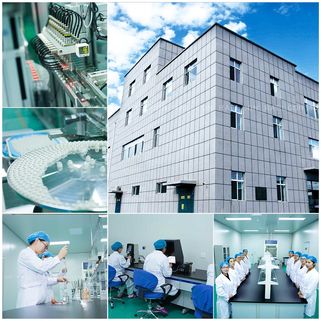 Company Profile