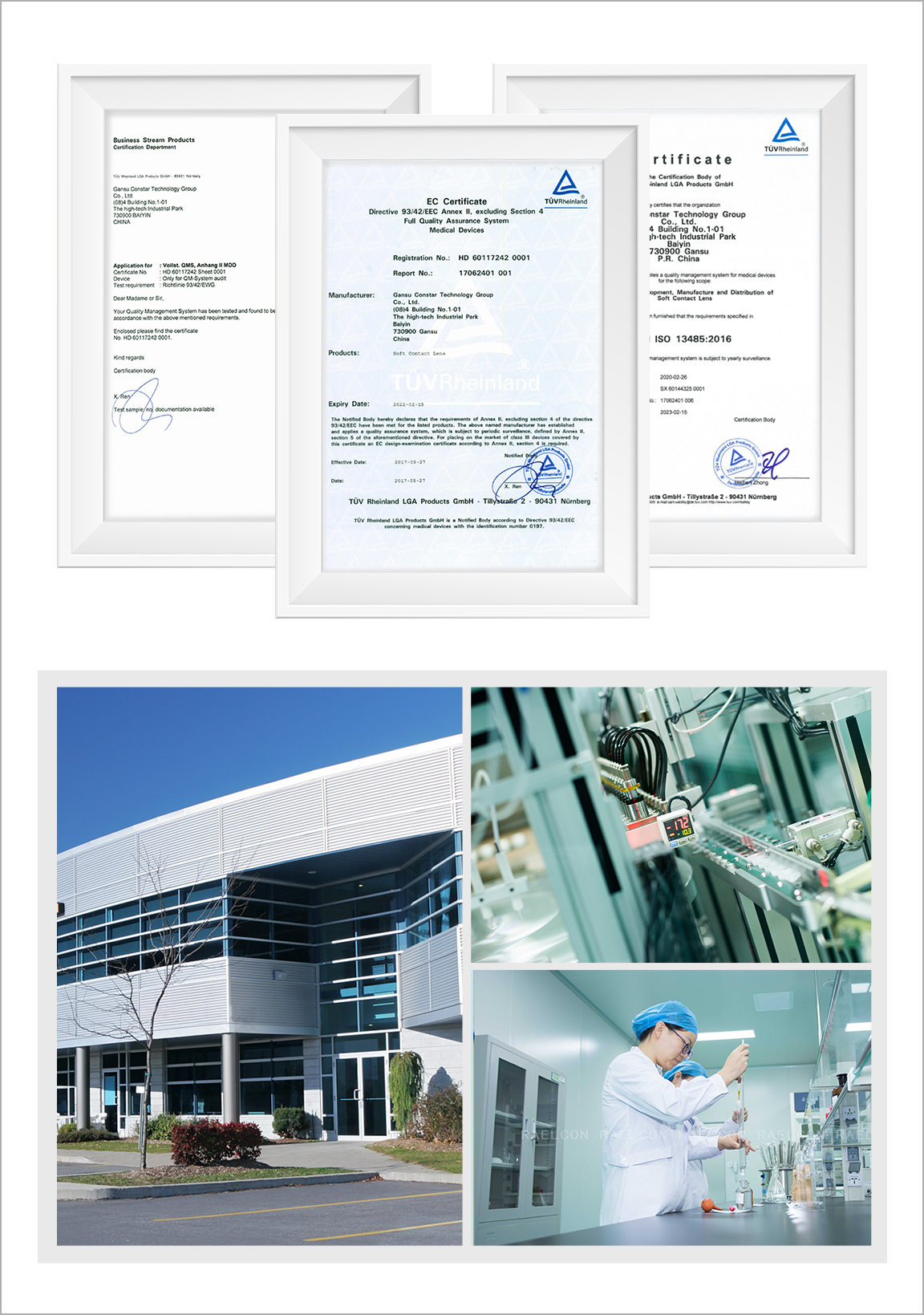Company Profile and Factory